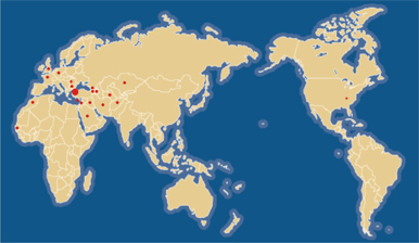 Solareks, firmas� artan sat�� ve pazarlama �al��malar� ile globalle�en d�nya pazar�nda pay�n� s�rekli artt�rmaktad�r. 